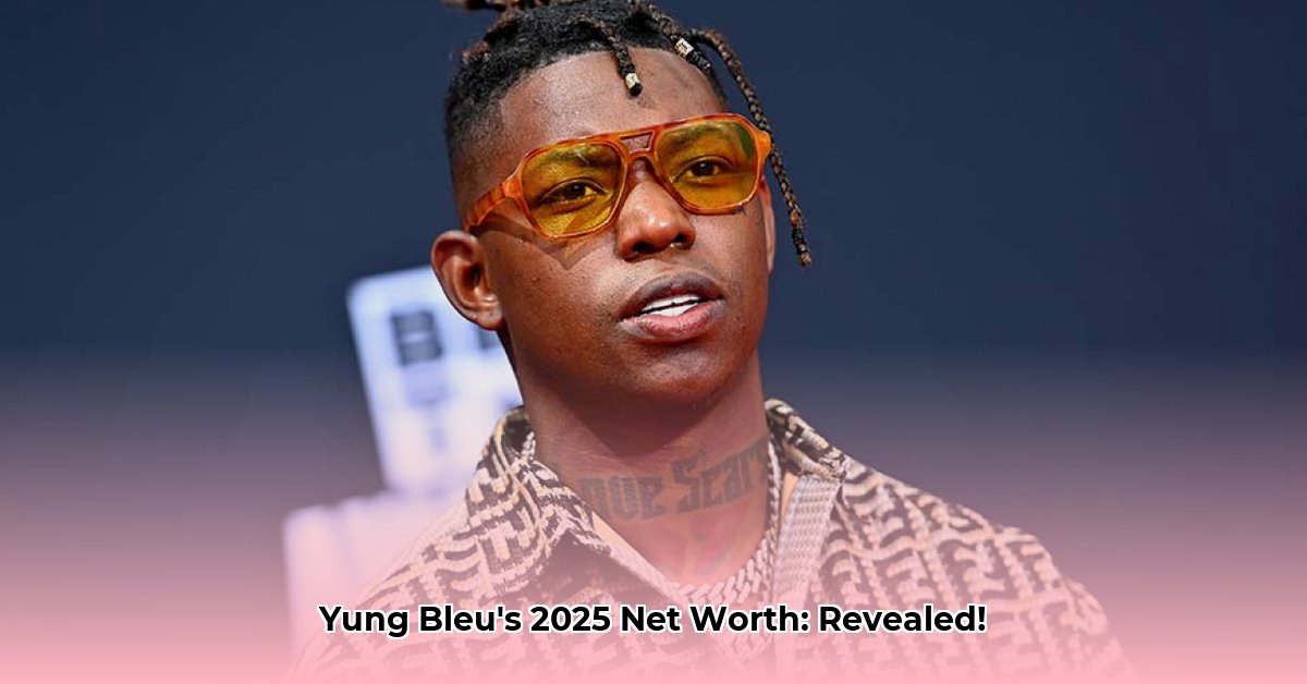 yung-bleu-net-worth